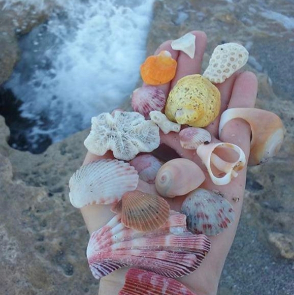 🧜♀️RedMermaid🧜♀️ - Picture 4 of 16